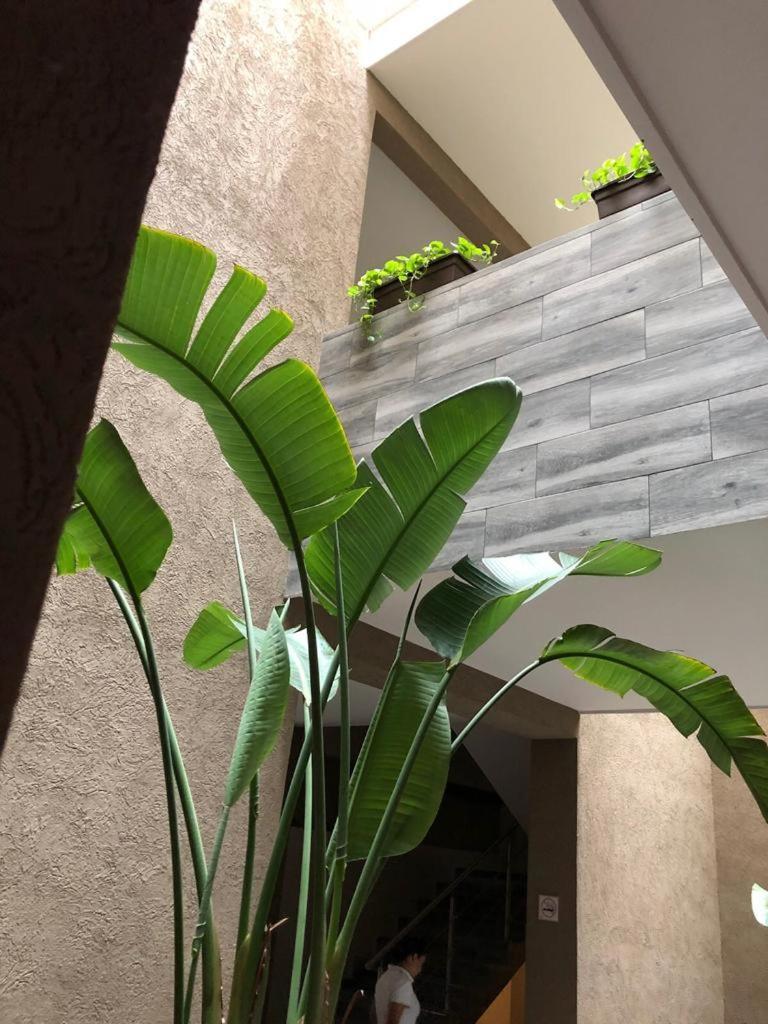 Hotel Plaza Arteaga Monterrey Exteriör bild